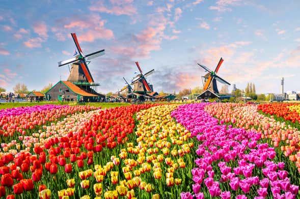 Keukenhof & Delft Day Trip
