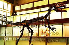 Brussels Travel Guide